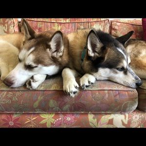 Meet your Posher, Mary